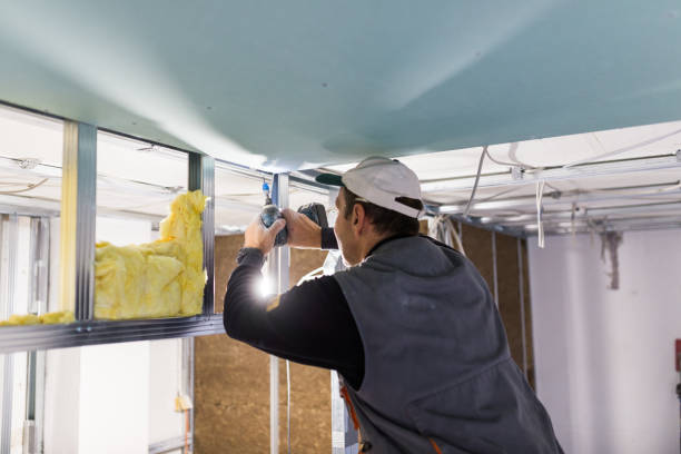 Best Residential Insulation in West Springfield, VA